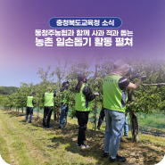 충북교육청, 동청주농업협동조합과 함께 사과 적과를 돕는 농촌 일손돕기 활동 펼쳐