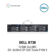 DELL Poweredge R730 E5-2620v3 2P 32G Tesla P100 2