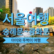청주 아이와 서울여행 숭례문 청계천 광화문광장