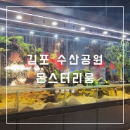 김포수산공원 몬스터리움 실내동물원 이색 주말 데이트