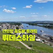 뤼데스하임 포도밭 트래킹 - 프랑크푸르트 당일여행 / 뤼데스하임 가볼만한곳 맛집 / 주차장 / 주차요금