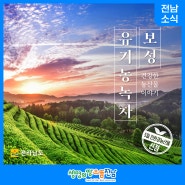 [전남 소식] '보성 유기농 녹차' 5월 친환경 농산물 선정!