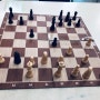 체스를 배우는 이유