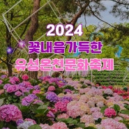 오색찬란 봄꽃 가득한 2024 유성온천문화축제 기본정보