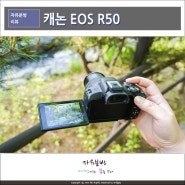 4K 브이로그 카메라 캐논 EOS R50 보라매공원 봄 풍경