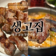 대전 궁동 충남대 맛집 생고집 고기 무한리필 방문후기