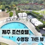 조선호텔제주 수영장 뷰 가든 뷰? feat.신라호텔 비교