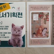 손유영의 고양이 한국화첩 출간기념전