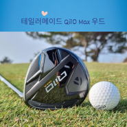 테일러메이드 Qi10 Max 우드 사용기