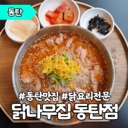 동탄 북광장 맛집 식사 겸 술집 닭나무집 동탄점