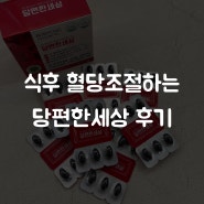 [제품] 식후 혈당조절하는 당편한세상 후기