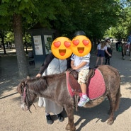 파리 룩상부르 공원 / 놀이터랑 포니 라이드 / 아이와 파리여행 / 에밀리인파리