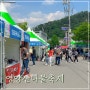 2024 경북 영양산나물축제 일정 기본정보