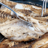 속초 생선구이 맛집 재방문 백프로 속초맛집 이화 반건조 생선구이
