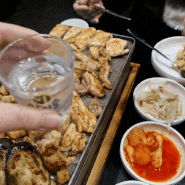 [인계동 닭나무집] 수원시청역 핫플 닭요리전문 맛집