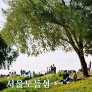 서울 피크닉 노들섬 일몰 한강 공원 가는법 주차장
