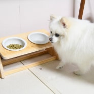레토 강아지밥그릇 원목 식기세트 높이조절 가능해