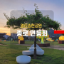 서울연등회 종로 열린송현공원 전통등전시회 유채꽃, 샤스타데이지 꽃구경은 덤 낮과 밤 비교사진