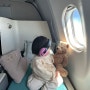 인천-괌 대한항공 비즈니스 후기 & 아기랑여행 비행기 꿀팁