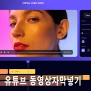 유튜브 동영상 자막넣기 AI 자동 자막 영상편집프로그램 HitPaw Edimakor 추천