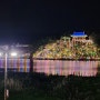 2024 형산강 연등문화 축제