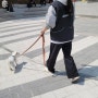 우쭈쭈 케어센터 합정점에서 클로이 코치님과 함께 하는 강아지 산책교육 후기 올바른 산책방법 배우기