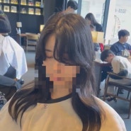 [일산 원마운트 | 준오헤어 누리디자이너]일산헤어디자이너 내돈내산 봄맞이로 앞머리펌 진행한 후기