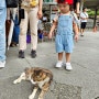 대만 렌트카 여행 8일차 - 허우통 고양이 마을