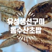 대전 유성구 맛집 가성비 생선구이 돔수산초밥