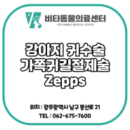 [광주동물병원] 강아지 귀수술 / 가쪽귀길절제술 / zepp procedure