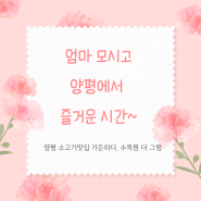 5월 8일 어버이날~ 엄마 모시고 양평에서 ~( 양평 소고기 맛집 가든하다, 양평 수목원 더 그림)