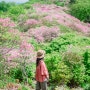 [남양주여행 :: 5월산행_서리산] 분홍 철쭉 가득했던 남양주 서리산의 봄산행