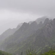 춘천에서 강릉으로, 돌아올 때는 양양을 거쳐 한계령을 넘어 귀한 풍경을 보아요.