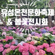 대전 여행 추천 유성온천문화축제와 봄꽃 전시회