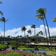 [4/27~5/2/2024] 하와이 카우아이 섬 여행 기록-Kauai, Hawaii