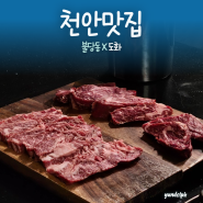 [천안맛집] 불당동 소고기 맛집 ‘도화’