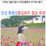 장성 황룡강 홍길동무 꽃길 축제 기본정보 가수 라인업 정서주