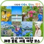 5월 6월 제주도 가볼만한곳 제주 동쪽 서쪽 여행 코스 추천