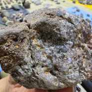 [논문 발표] 포항 다이아몬드는 공룡화석이 석회암지역에서 쪄서 된 다이아몬드이다.