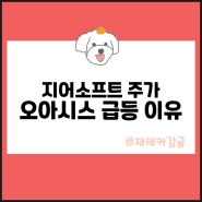 지어소프트 주가 급등 이유와 오아시스 상장 소식은