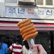 안국역 데이트 산책코스 열린송현공원, 북촌 삼청동 맛집 풍년쌀농산