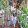 김포 대형 식물원 카페 '글린공원'