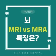 뇌 MRI vs MRA 특징 알아보고 정확한 검사받기!