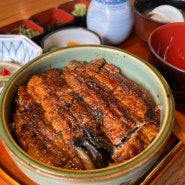 [부산 맛집] 해목 해운대점: 오픈런 웨이팅 후기(장어덮밥, 카이센동 먹방)