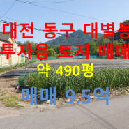 대전 동구 대별동 도시개발사업지구 인근 토지 매매