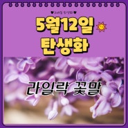5월 12일 탄생화 라일락 꽃말(라일락키우기+삽목+가지치기)