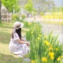 2024 구리한강공원 유채꽃 축제 실시간, 개화상태