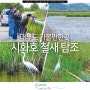 서울 근교 나들이 대부도 여행 시화호 철새 탐조 활동 사진 촬영 방법