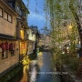 [일본 여행] 벚꽃보러 떠난 4월 교토여행 1일차 오가와 커피, 료칸, 규카츠, 벚꽃 구경