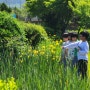 [구례 광의초등학교 생태수업] 야생화 마인드맵 수업과 꽃이 좋은 이유는?